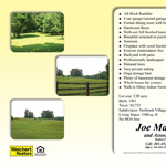Fold-over brochure #11, back page
